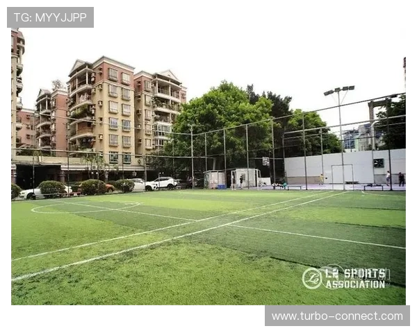 半岛(半岛)·体育网页版入口：打造便捷专业的在线体育娱乐平台